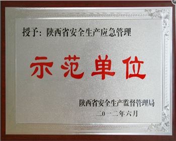 荣获陕西示范单位荣誉证书